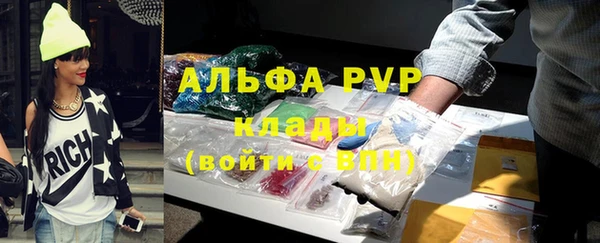 стафф Кинешма